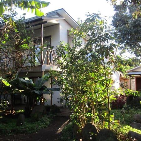 Hostal Marari Ханга-Роа Экстерьер фото